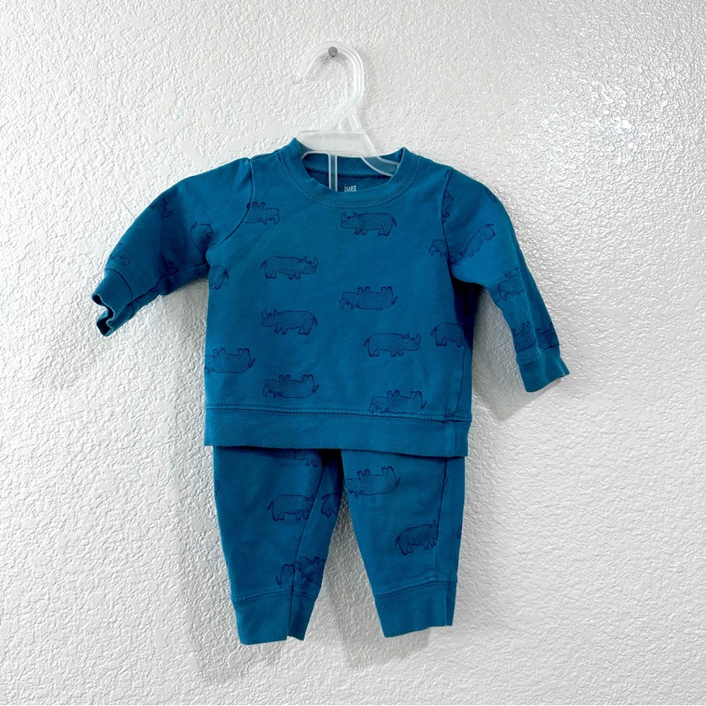 Teal rhino set